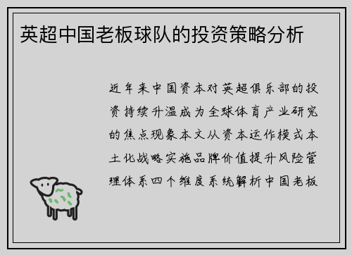 英超中国老板球队的投资策略分析